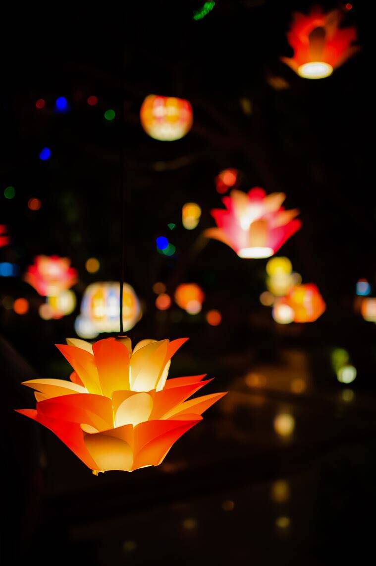 iluminação, luzes do festival, diwali, govardhan pooja, dhanteras, Indianexpress, como iluminar a casa, iluminação de decoração de casa, como escolher luzes de decoração de casa, luzes bhai dooj
